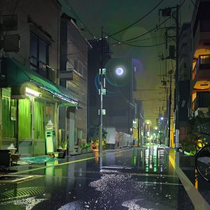 ©lea-pinto-green-moon-pinto-lea-v01