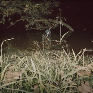 ©lea-pinto-jibaro-pinto-lea-11-1