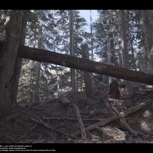 ©lea-pinto-jibaro-pinto-lea-8