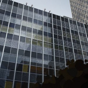 ©lea-pinto-yellowbird-4-pinto-lea