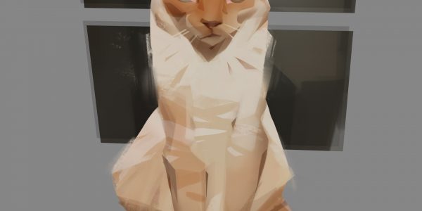 ©thomas-mahon-cat-01