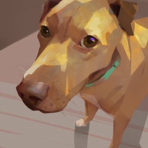 ©thomas-mahon-dog-03