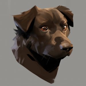 ©thomas-mahon-dog-06